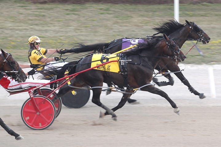 Battle fields set for Industry Day at Grand River Raceway post image