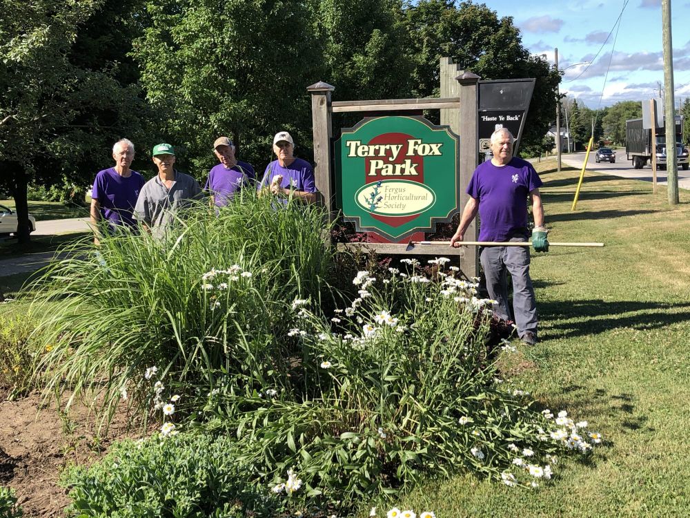 Fergus Horticultural Society volunteers happy to be back in the gardens post image