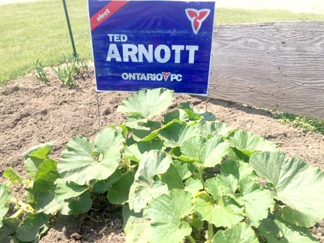 Metz Giant Pumpkin Challenge is heating up with the entrance of Wellington-Halton Hills MPP Ted Arnott post image