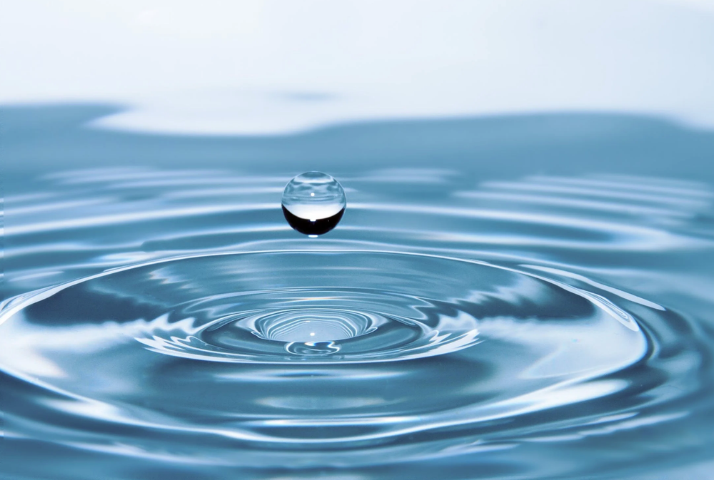 Wellington Water Watchers launch #TapItForGood campaign post image