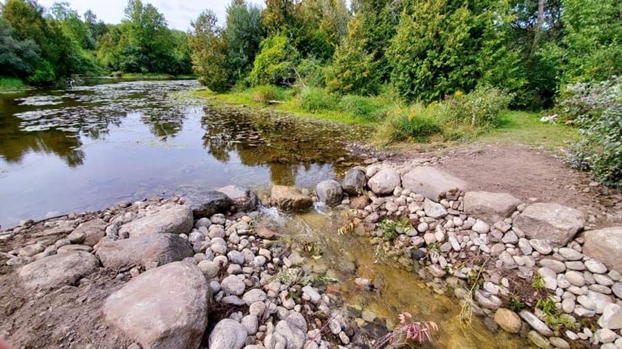 Eden Mills completes Eramosa River naturalization project post image