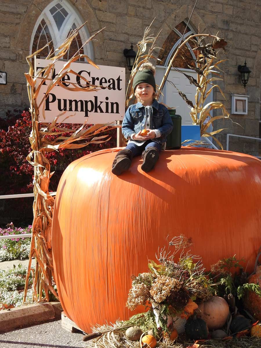 Massive pumpkin post image