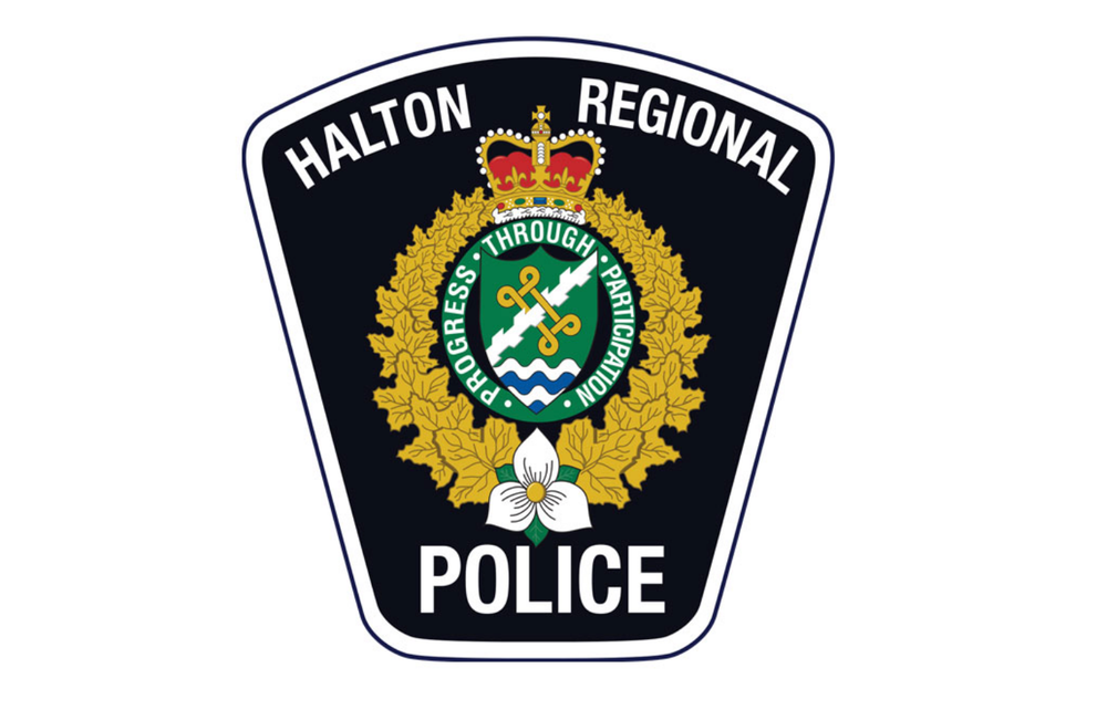 Rockwood man faces theft, weapon, drug charges post image