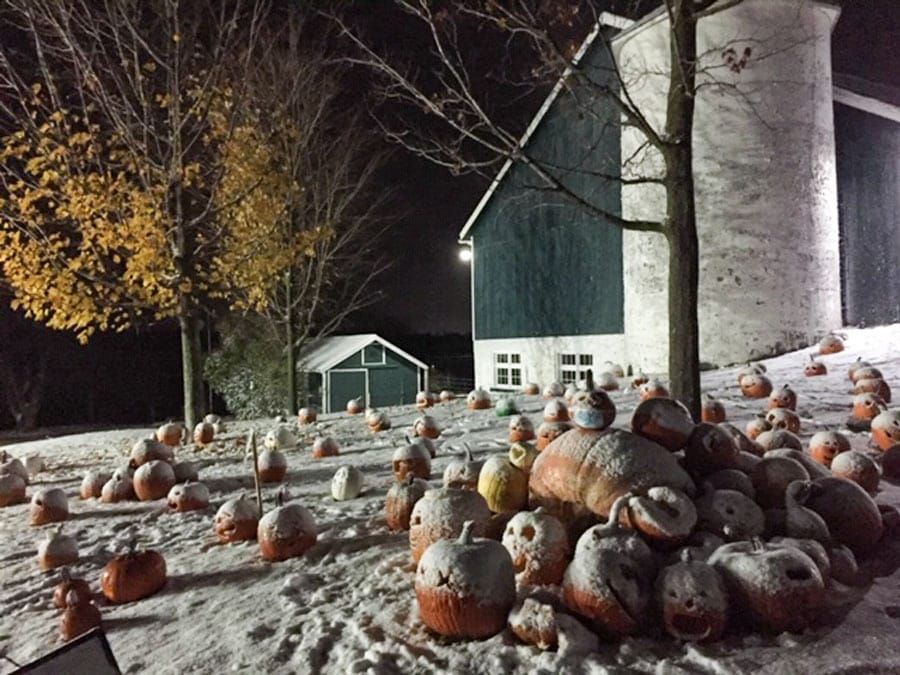 County museum held Pumpkin Walk on Nov. 1 post image
