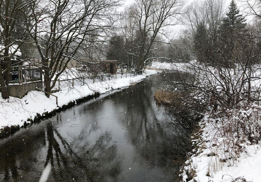 Minto applies for federal funding for flood mitigation project post image
