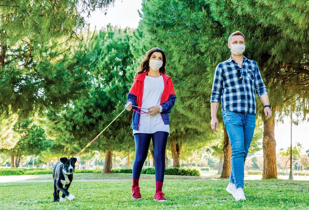 Drayton dog park proposal quashed by council post image