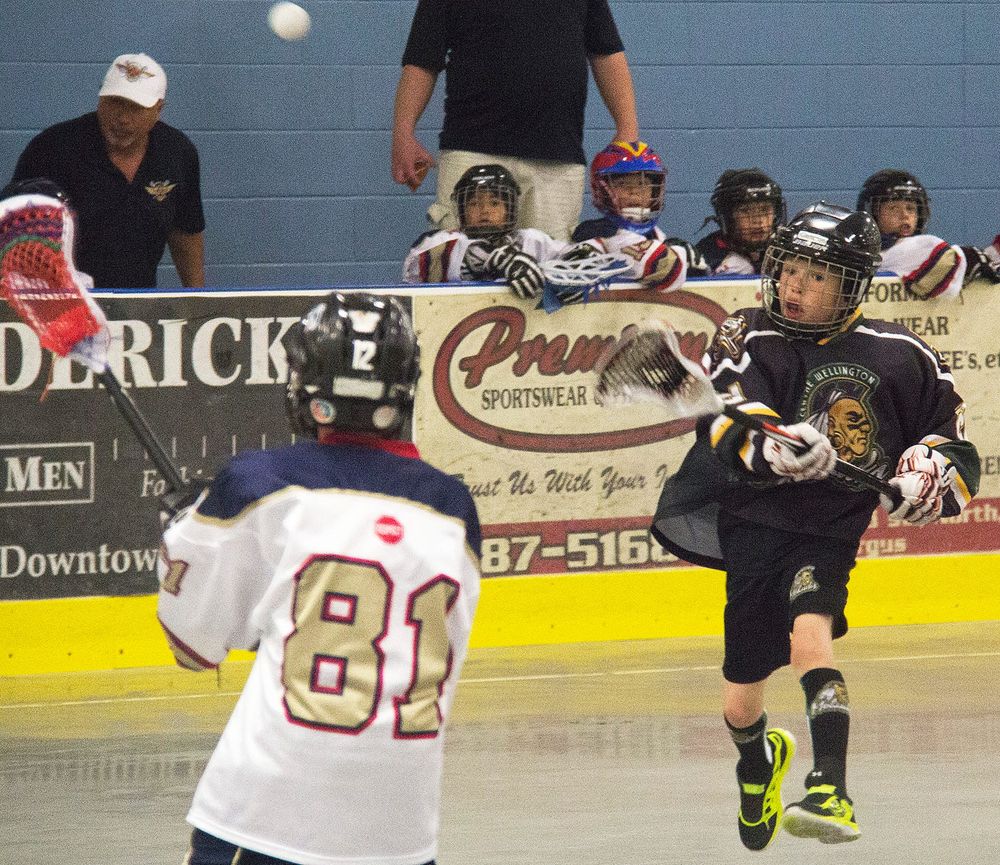Centre Wellington minor lacrosse seeks input on new team name post image