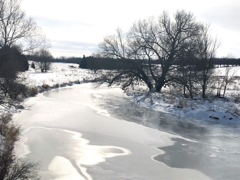 Sparkling scenery in Minto post image