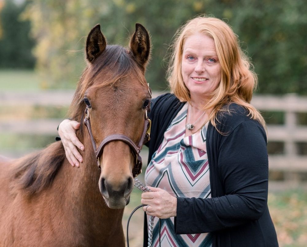 Erin resident wants to ban fireworks in town after horse put down due to injuries post image