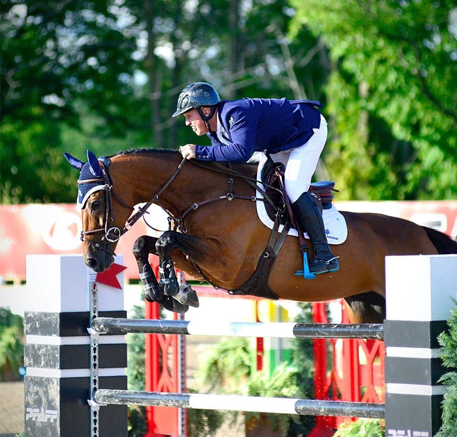 Angelstone group of companies buys Caledon Equestrian Park post image