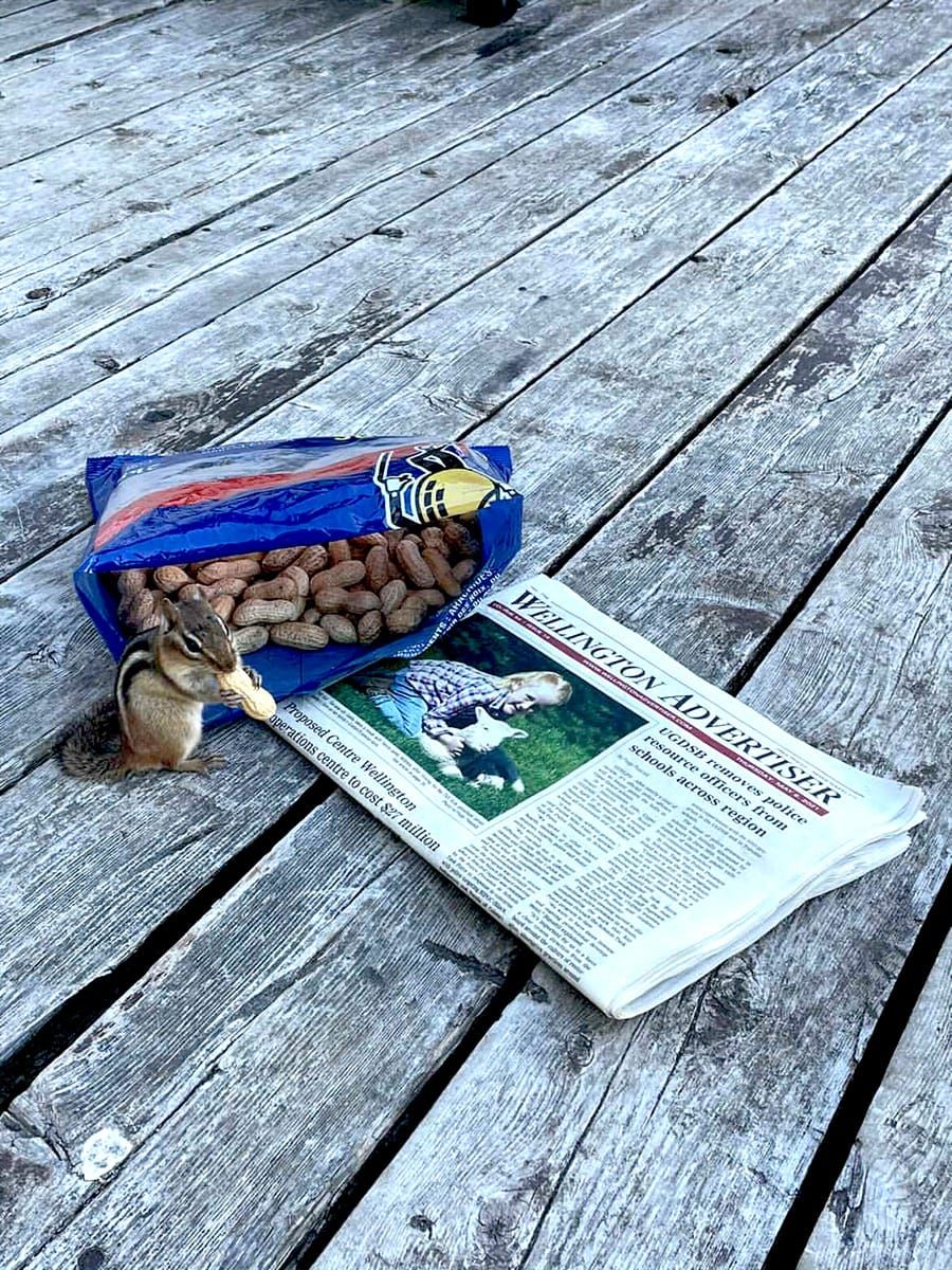 Cottage reads on Manitoulin Island post image