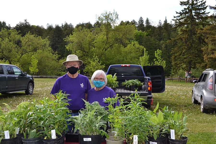 Elora Farmers Market opens in Bissell Park post image