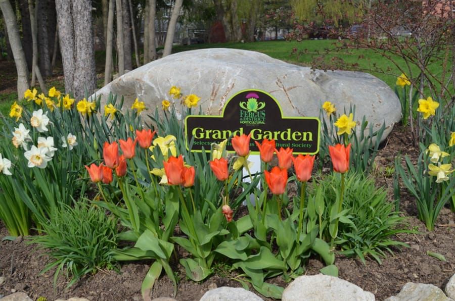 Grand Gardens program will proceed after hiatus post image