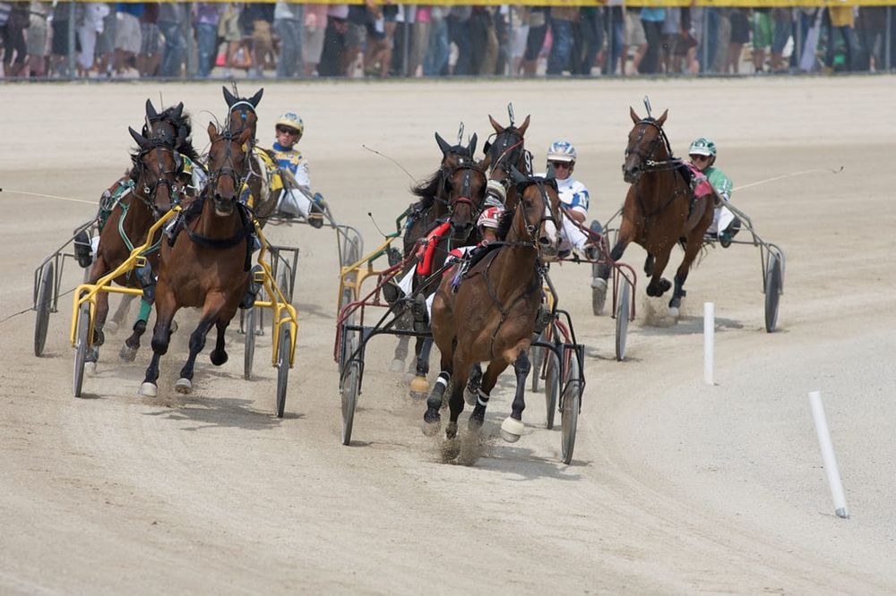 Grand River Raceway expects live racing to resume June 14 post image