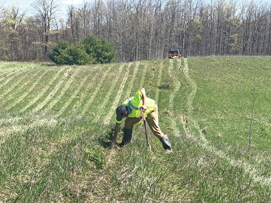 Over 80,000 trees to be planted across Wellington County this spring season through Ontario’s Million Tree Program post image