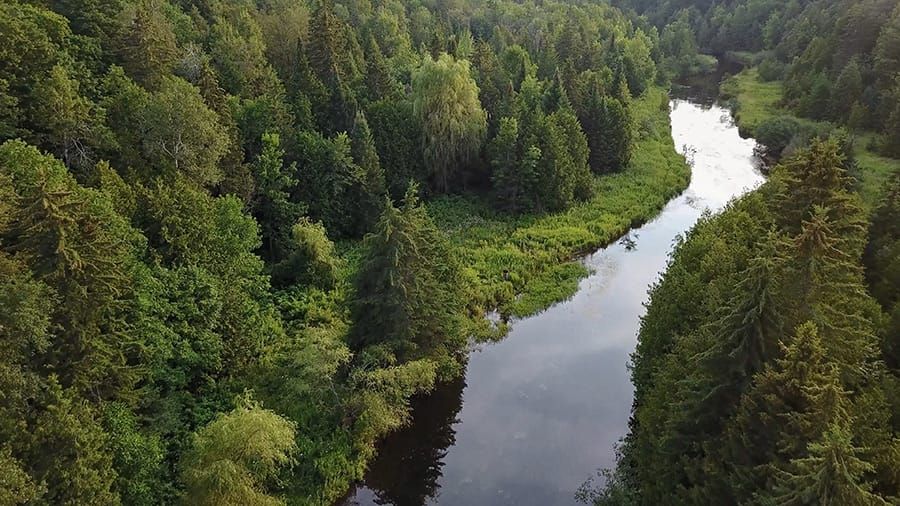 Coalition for the West Credit River appealing to federal environment minister to step in on Erin’s wastewater treatment plant post image