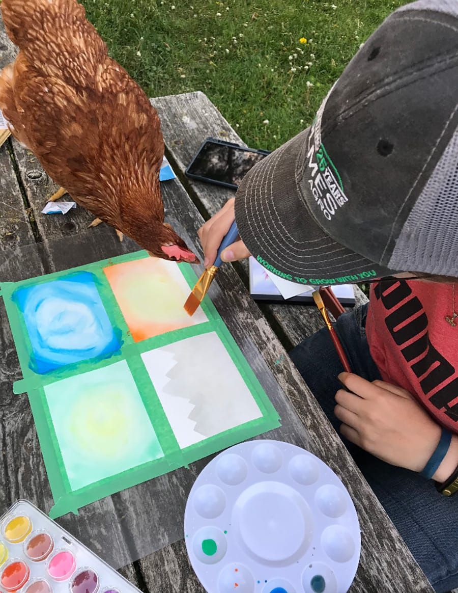 Wellington 4-H Club ruffles their feathers post image