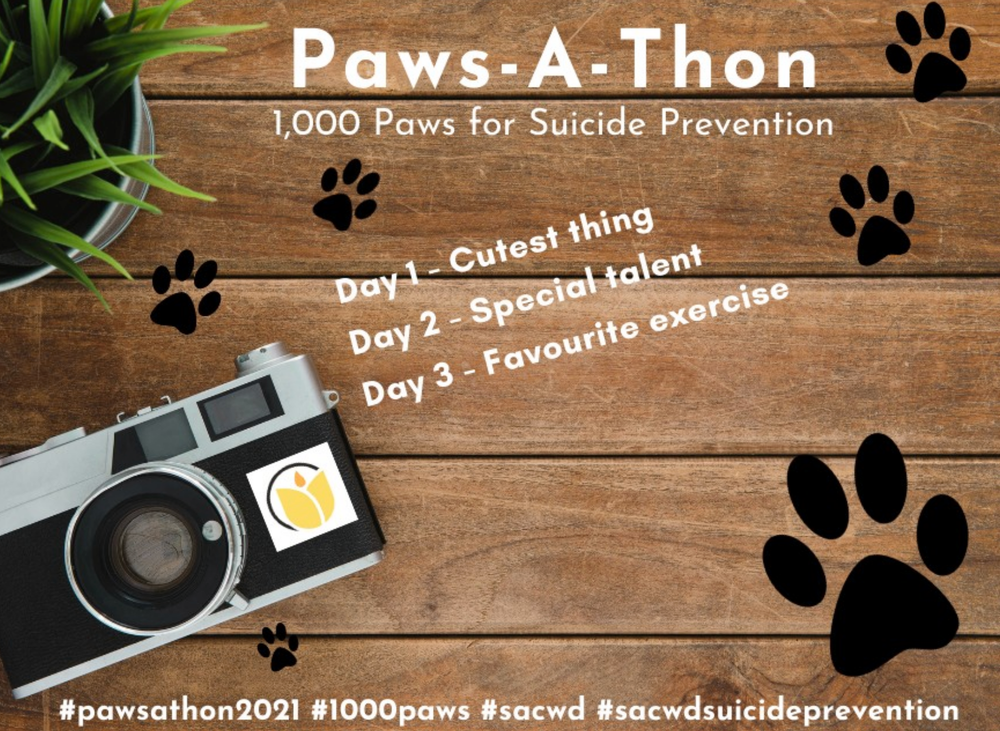 Paws-a-thon close to Mental Health Week goal post image