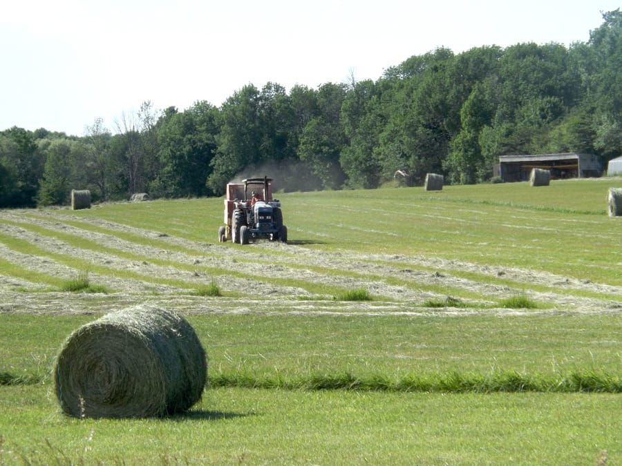 Bailing underway near Harriston post image