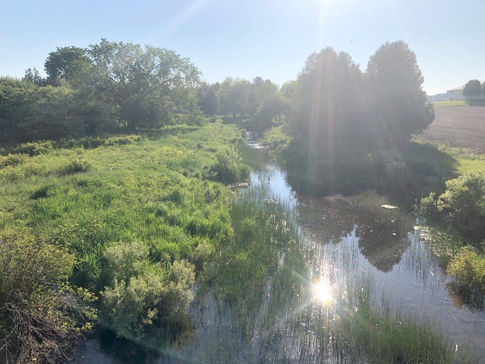 Sunlit stream creates dazzling early morning effect post image