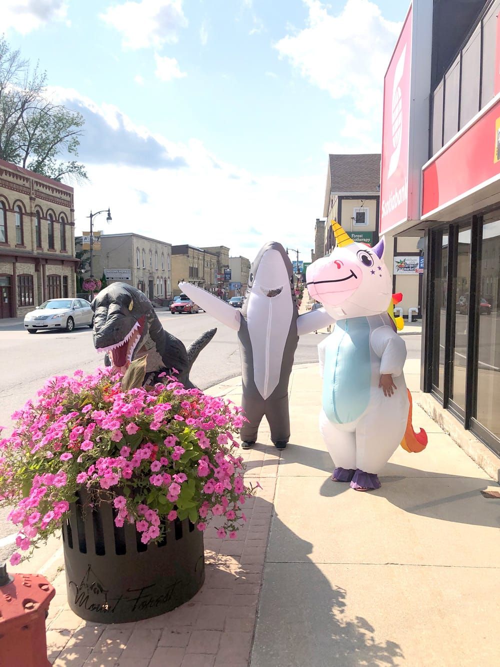 Acts of Kindness bring smiles to Mount Forest post image