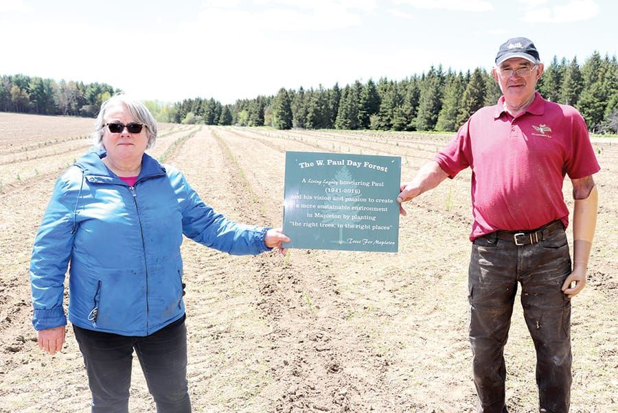 Trees for Mapleton’s W. Paul Day Forest initiative continues to grow post image