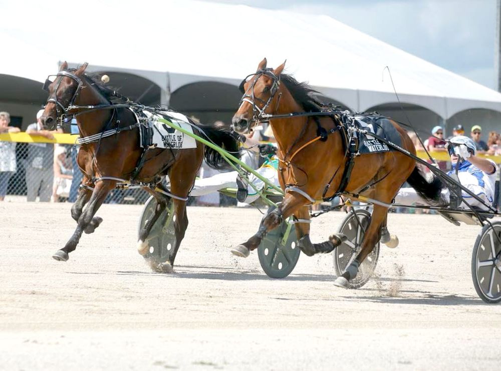 Favourites prevail in Industry Day battles post image