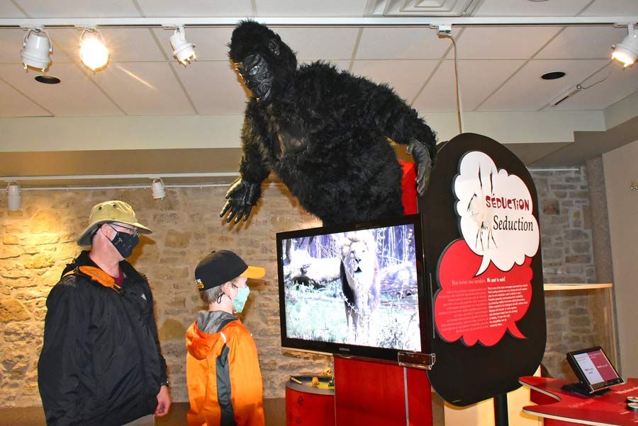 ‘Animal gibberish: subtitled for humans’ now at museum post image
