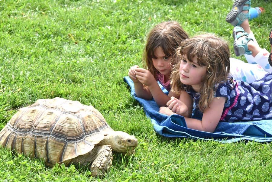Wellington County Museum hosts Hands on Exotics event post image