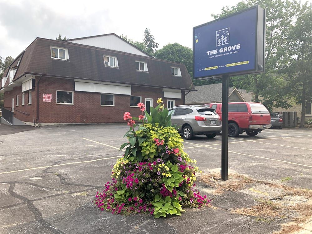 Youth hub set to host plant night post image