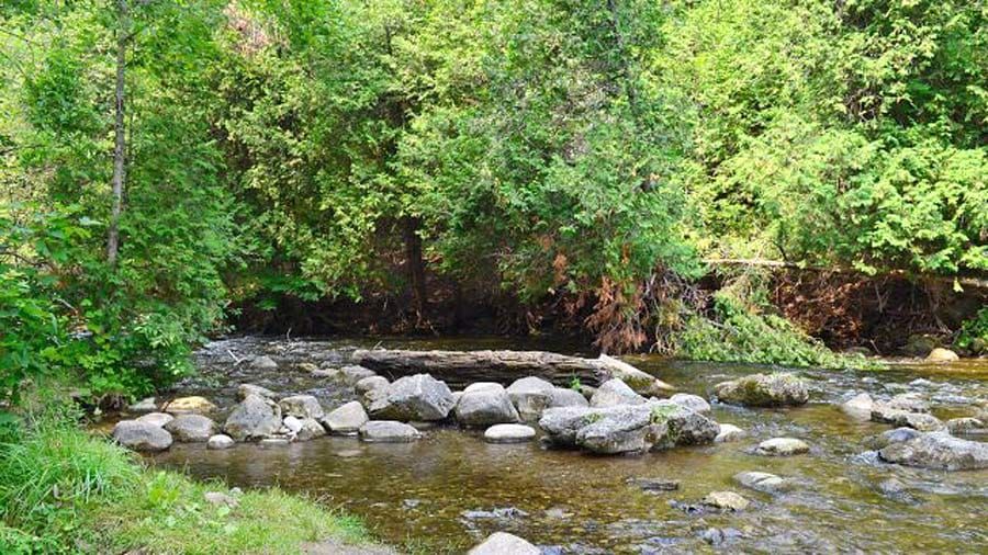 Coalition files application for MOE to investigate wastewater treatment plant post image