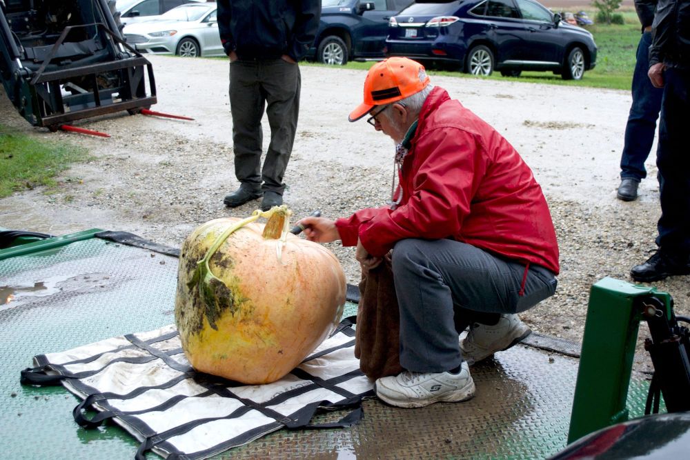 2021 Metz Community Giant Pumpkin and Zucchini challenge wrapped up with a weigh-in celebration post image