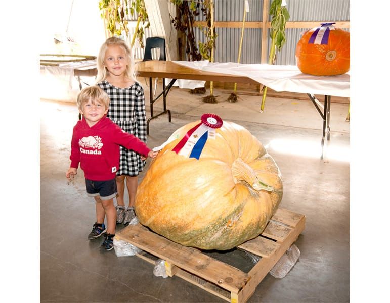 Drayton Agricultural Society’s Harvest Festival held on Sept. 18. post image