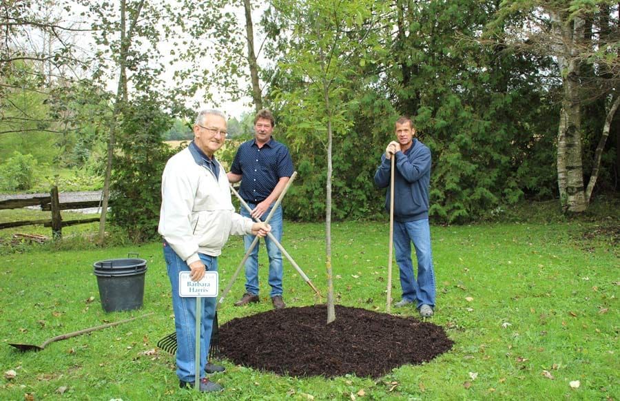 Memorial planting recognizes Barbara Harris on National Tree Day post image