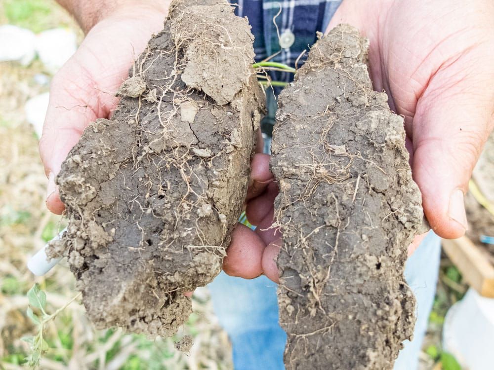 ONFARM tailgate tour brings farmers together at 3Gen Organics post image