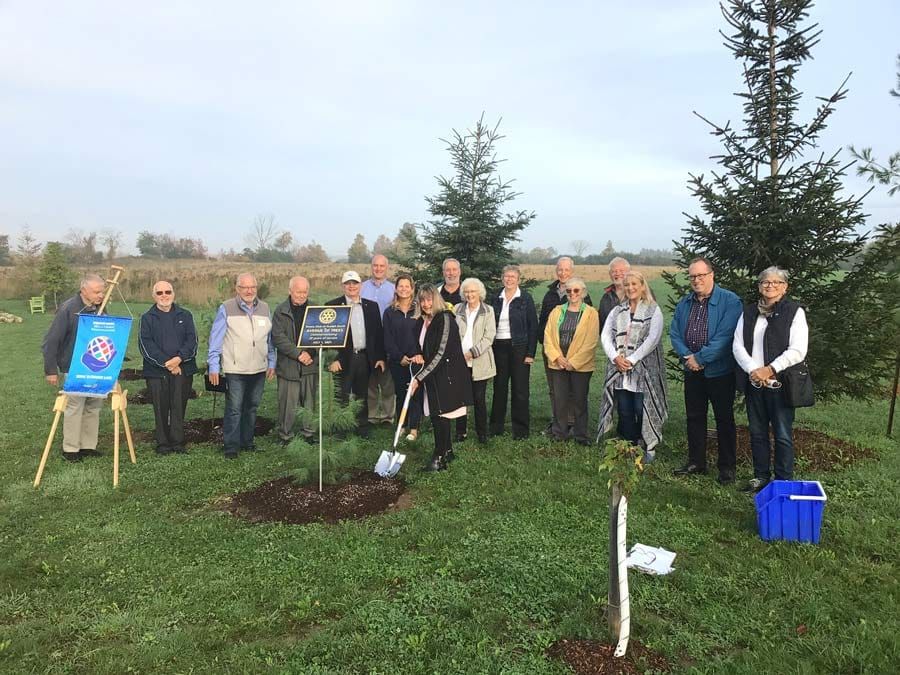 Rotary club plants Avenue of Trees at Sunrise post image