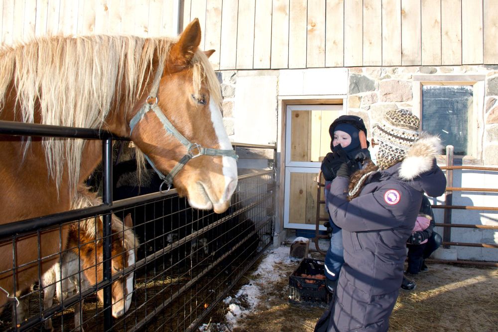Winter Solstice at the Farm event brought community to Reroot Organic Farm post image
