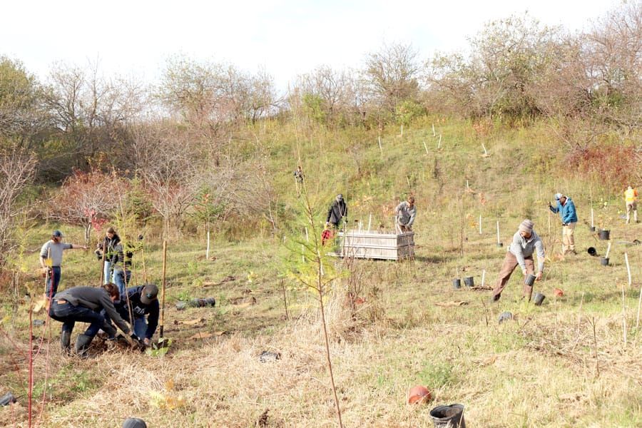 Trees for Mapleton building community with each planting post image