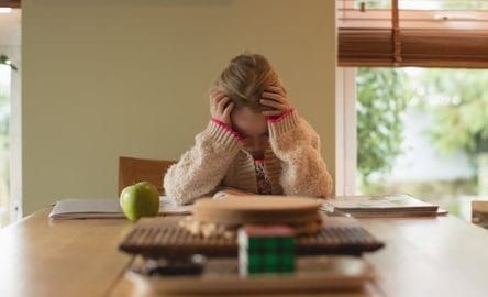 Local school boards recognize mental health toll of pandemic uncertainty on students post image