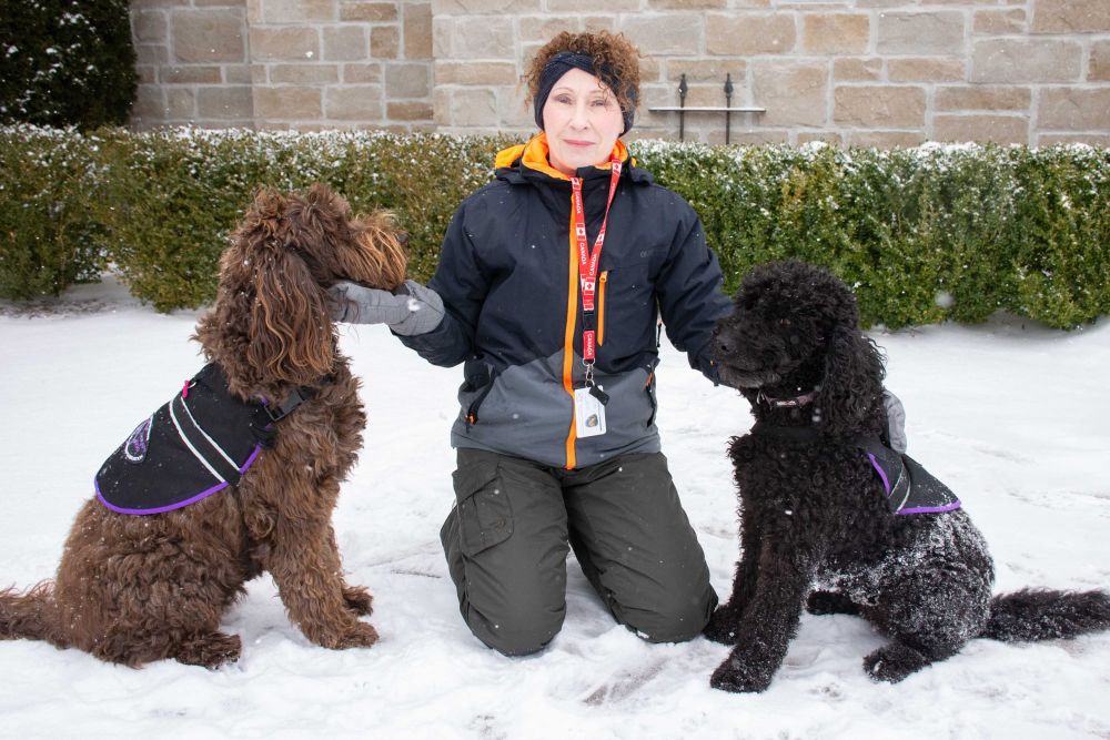 Canine companions help alleviate vaccination fears post image