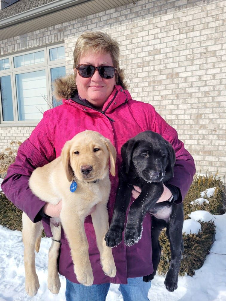 Autism Dog Services in need  of foster homes for puppies post image