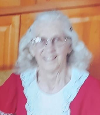 DENOUDEN, Elaine Ruth (née Leppington) post image