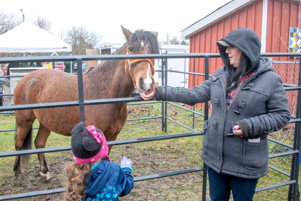 Endangered Ojibwe pony part of Erin Earth Day event post image