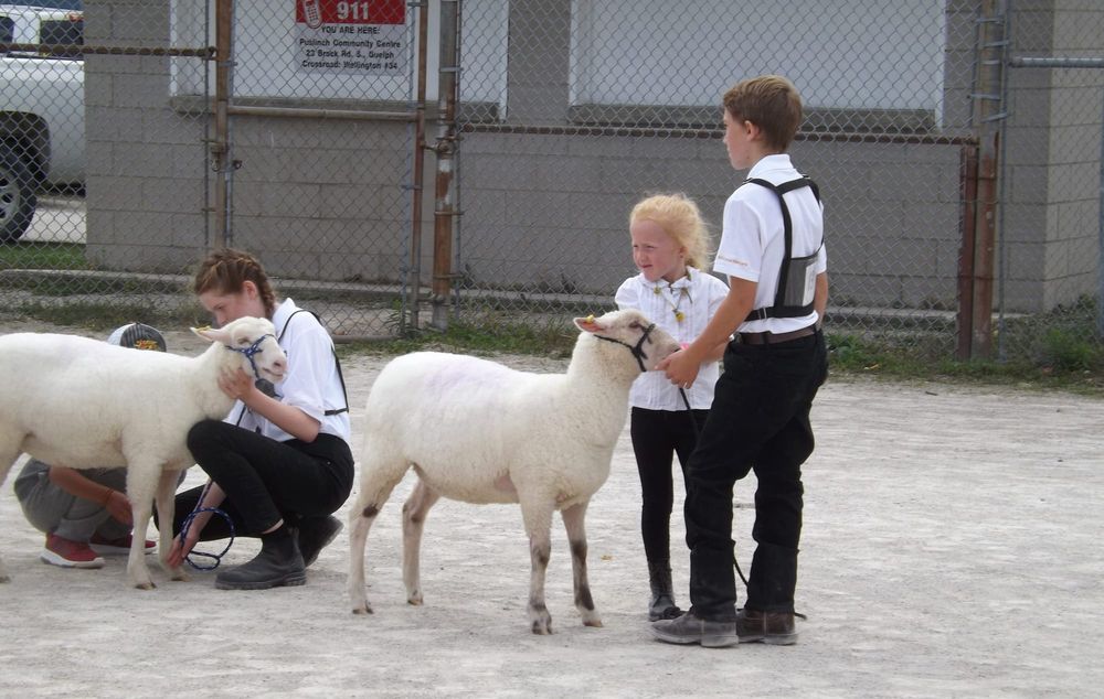 ‘Fair’ weather in the forecast for Aberfoyle post image