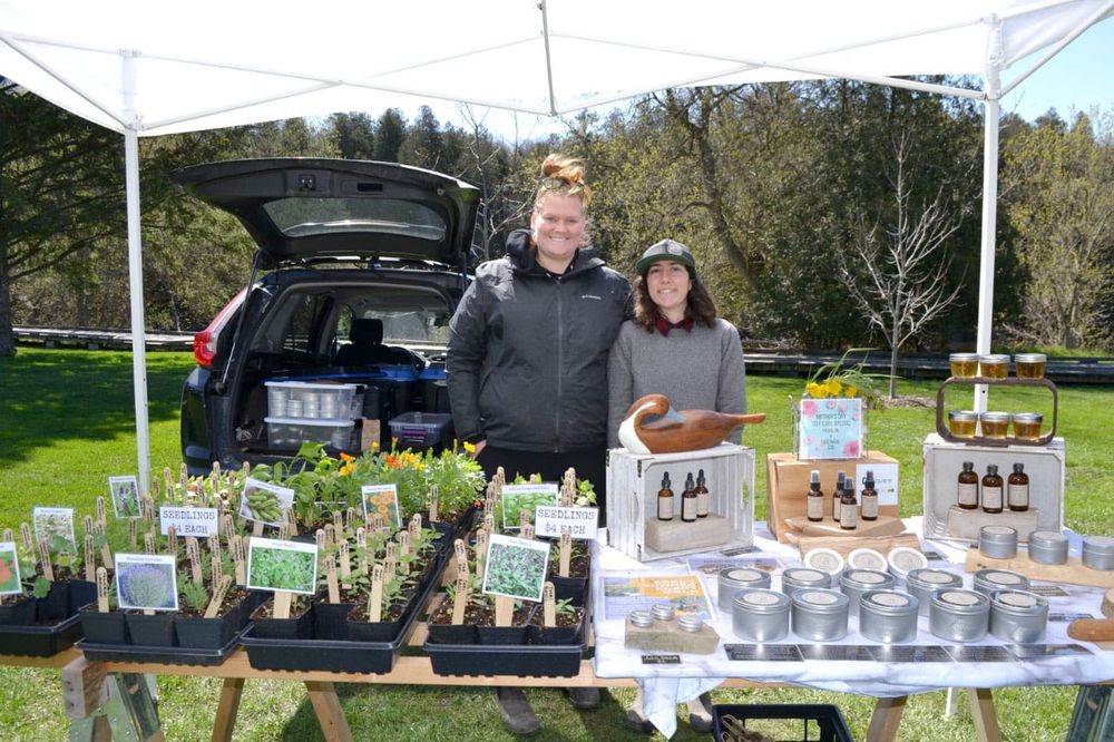 Elora Farmers' Market returns to Bissell Park for the season post image