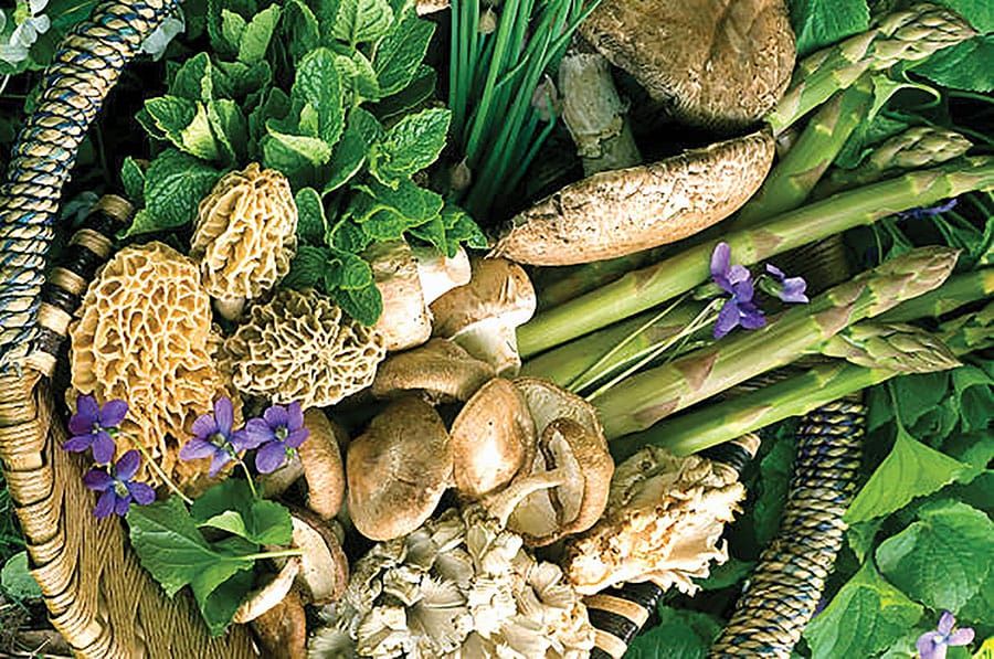 Foraging? Go where the wild things grow post image