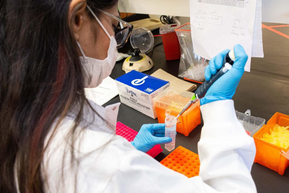 Guelph researchers contending with avian influenza as virus spreads in Wellington County post image