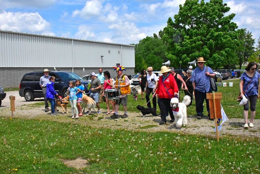 Lions Walk for Dog Guides in Fergus raised more than $6000 post image