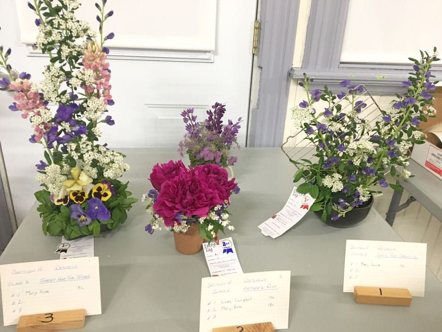 Harriston and District Horticultural Society gathered to review events post image