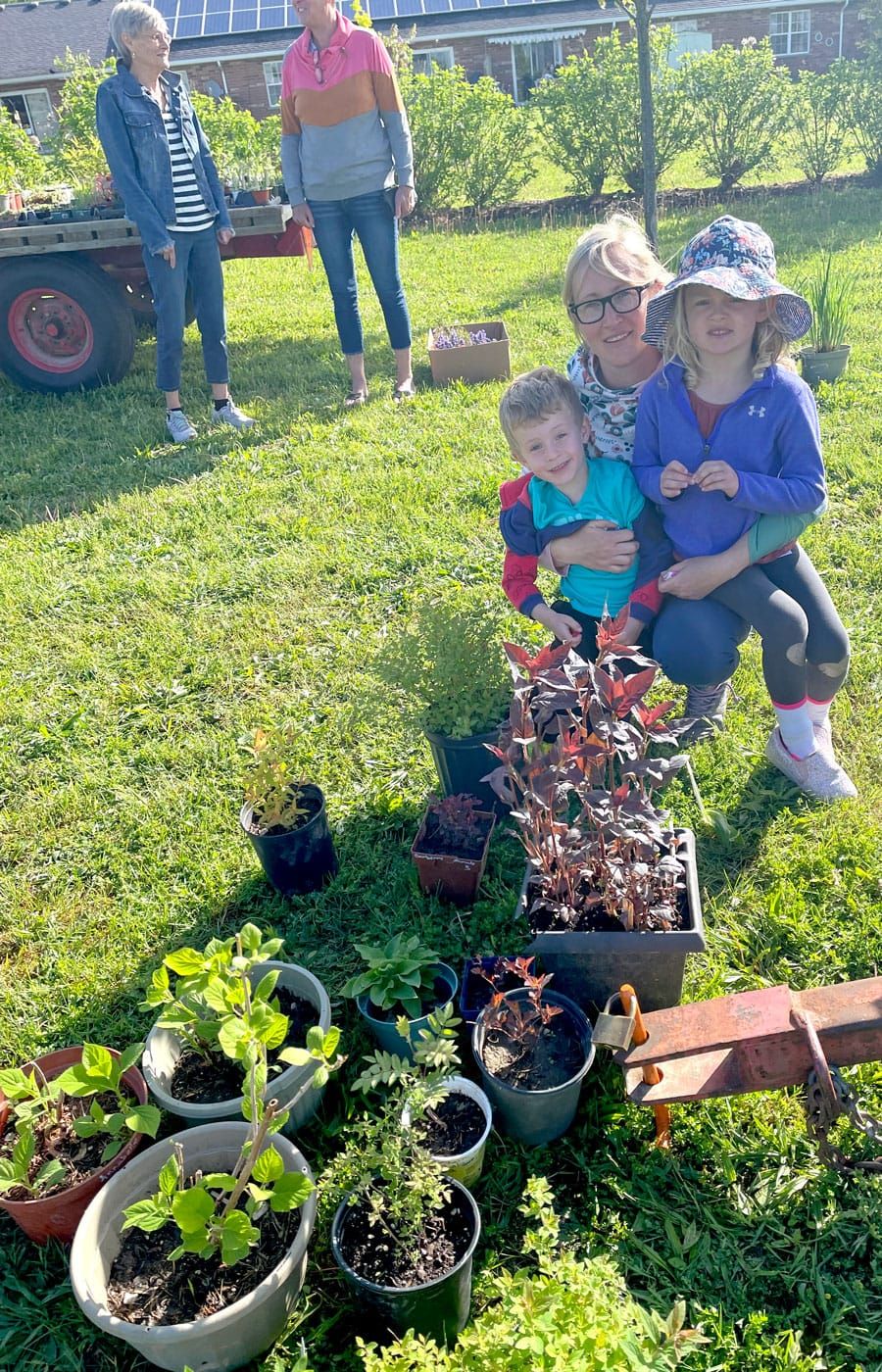Mount Forest Horticultural Society hosted annual plant sale post image